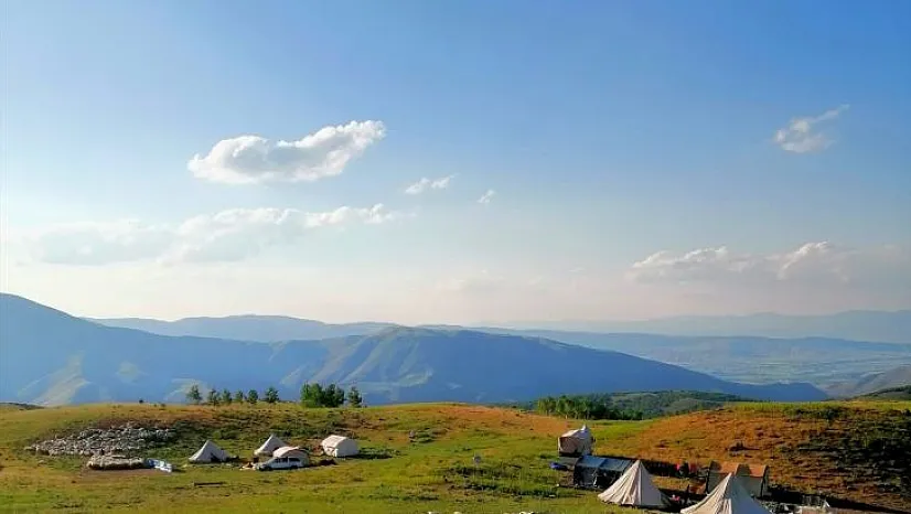 Tunceli'de koyun kırkma mesaisi