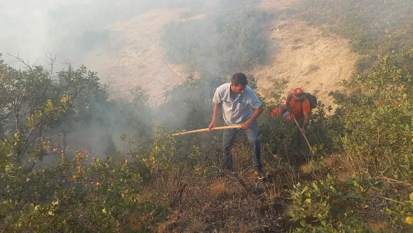 Tunceli'de yangın söndürme çalışması sürüyor