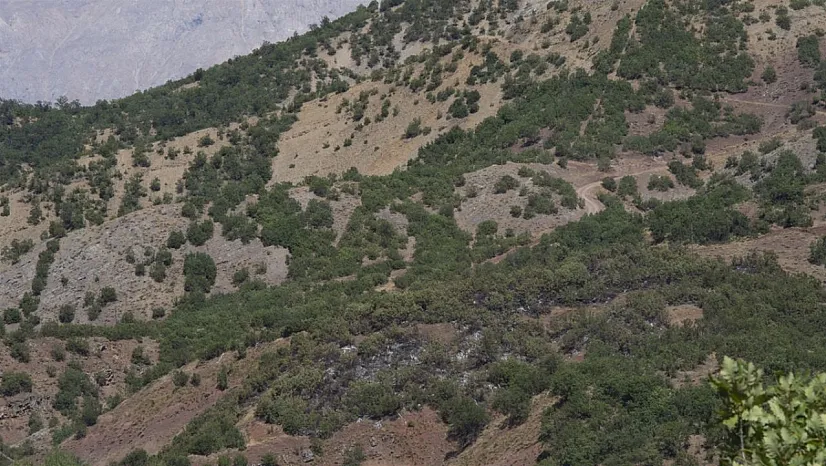 Tunceli'de yangın