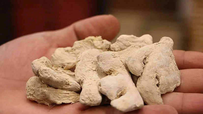 Uzmanından zencefilin kullanım şekli uyarısı