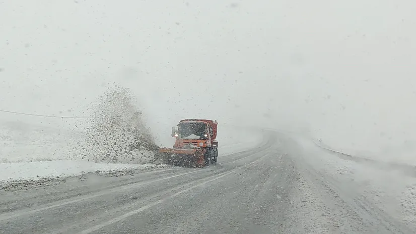 Van'da kar yağışı