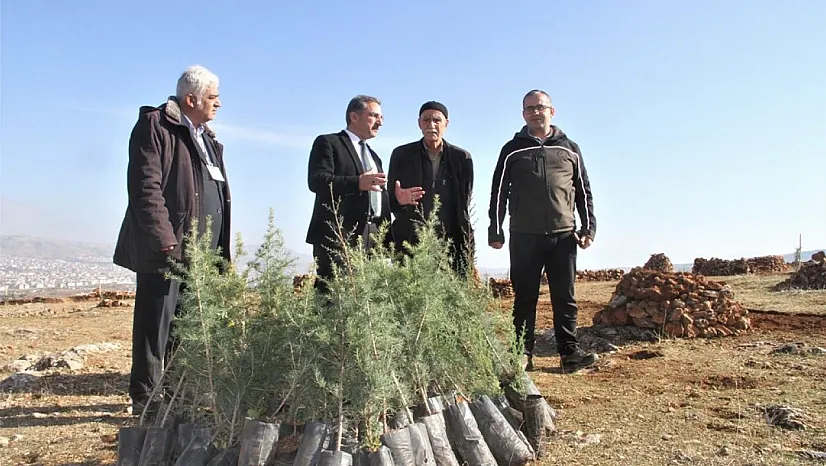 Evinin önündeki taşlık araziyi ormanlık araziye çevirdi