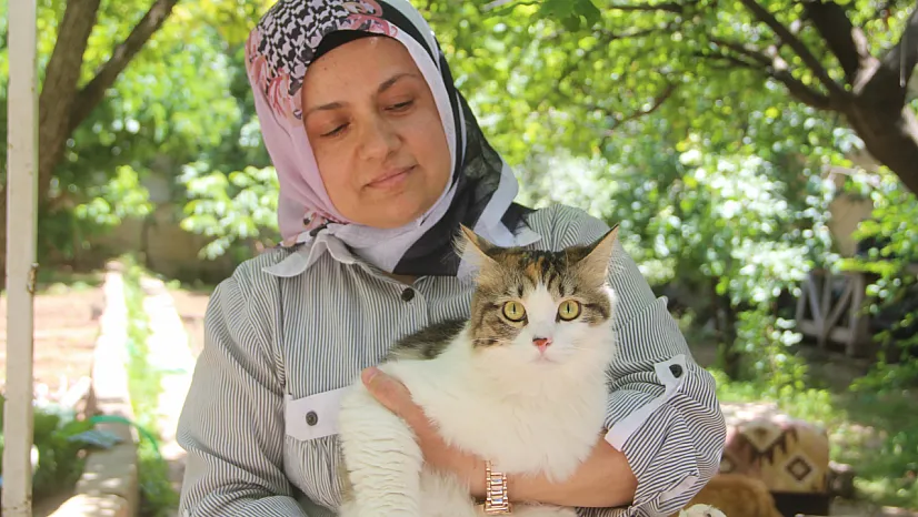 'Evlatlarım' dediği kedilere anne gibi bakıyor
