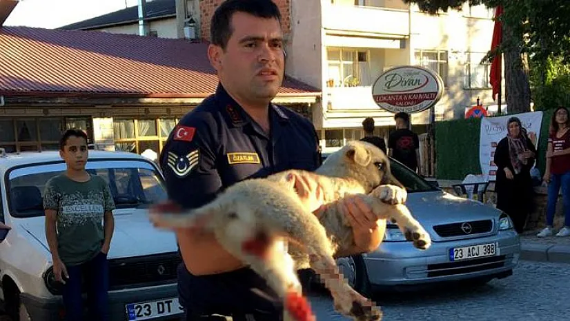 Jandarma ekiplerinden duygulandıran hareket