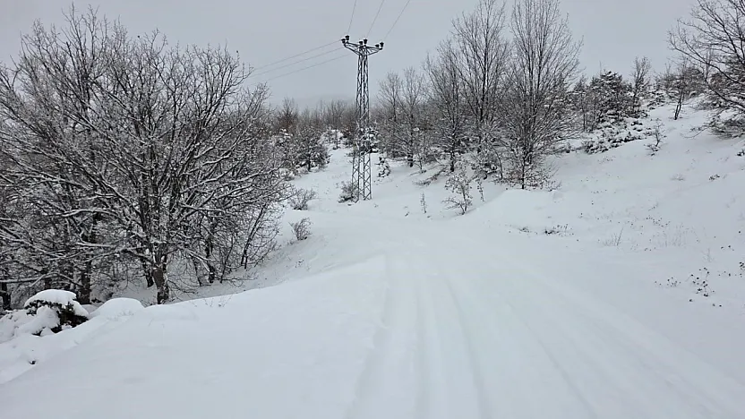 311 köy yolu ulaşıma kapandı