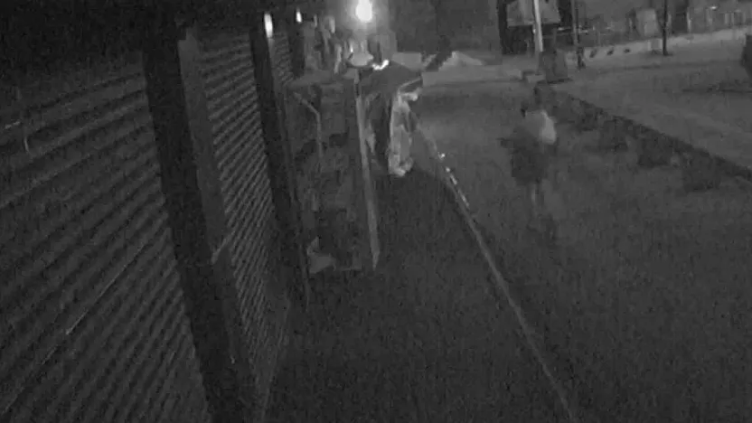 Elazığ'da branda hırsızlığı kamerada