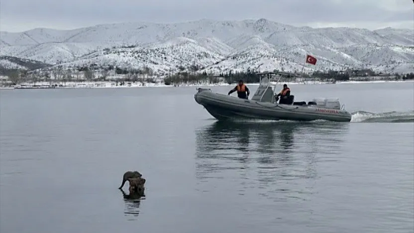 Hazar Gölü'nde su samuru görüntülendi