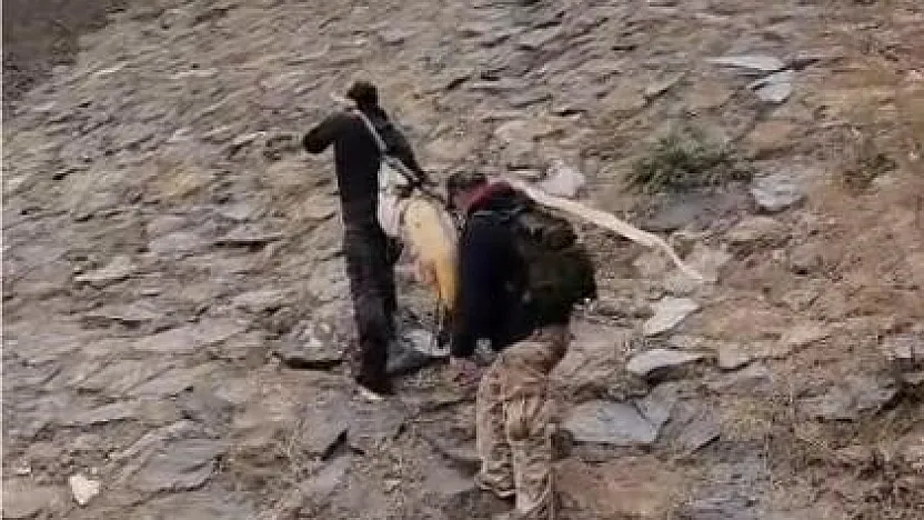 Murat Nehri'nde dev turna yakalandı